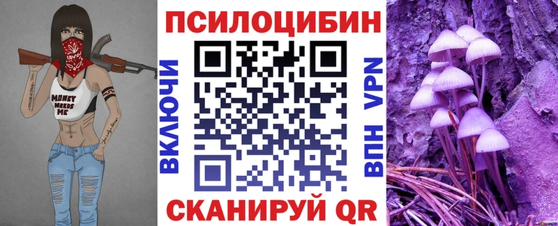 где можно купить наркотик Щигры Галлюциногенные грибы прущие грибы